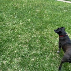 Meet your Posher, Brandy